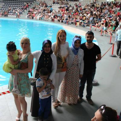 Dolphinarium 01